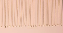 Pavé Letter Necklace 11 Pavé Letter Necklace -Chic Boutique Shop IMG 2166 3000x 92e885ef 4dd5 4bb6 9c16 9deb005dccae