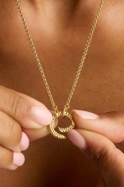 Gold Intertwined Annex Link Necklace -Chic Boutique Shop Picture 2023 03 21T171253.957